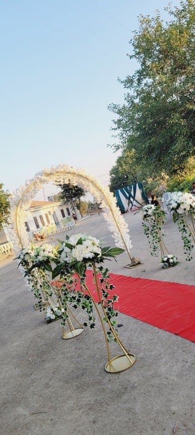 Bircan P. — çalışma 1