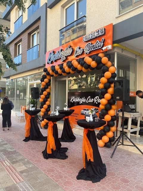 Bircan P. — çalışma 3