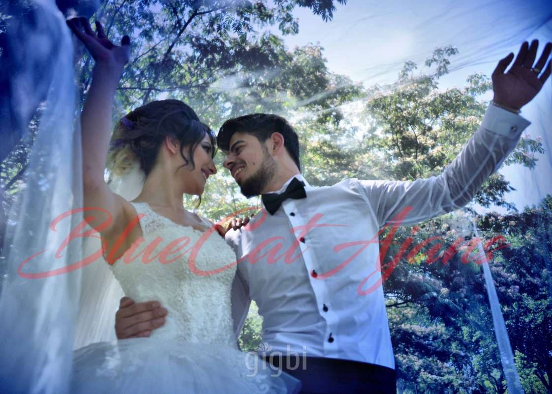 BlueCat A. — çalışma 5