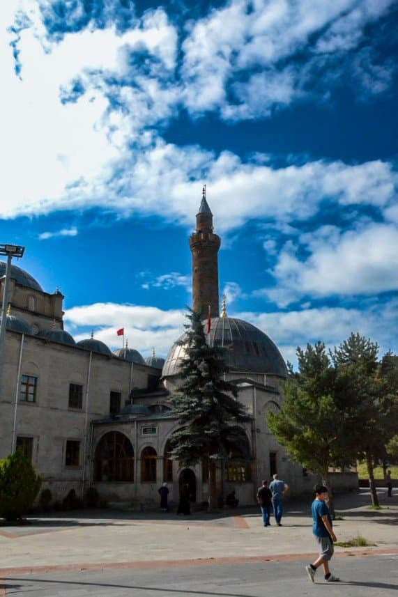 Bora N. — çalışma 1