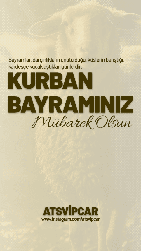 Boracan Y. — çalışma 2