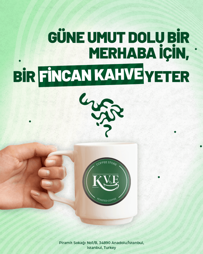 Boracan Y. — çalışma 5