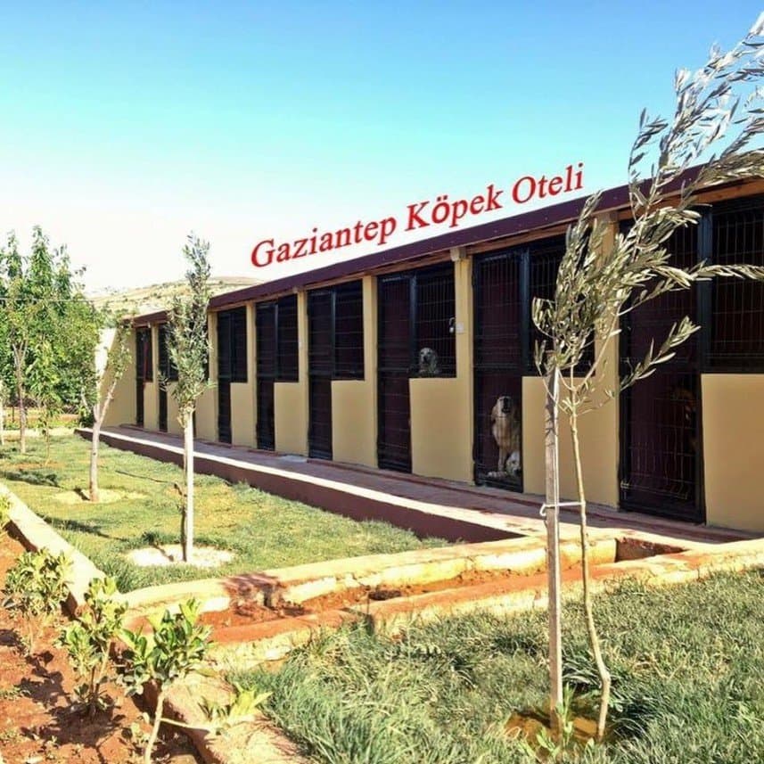 Burak T. — çalışma 5