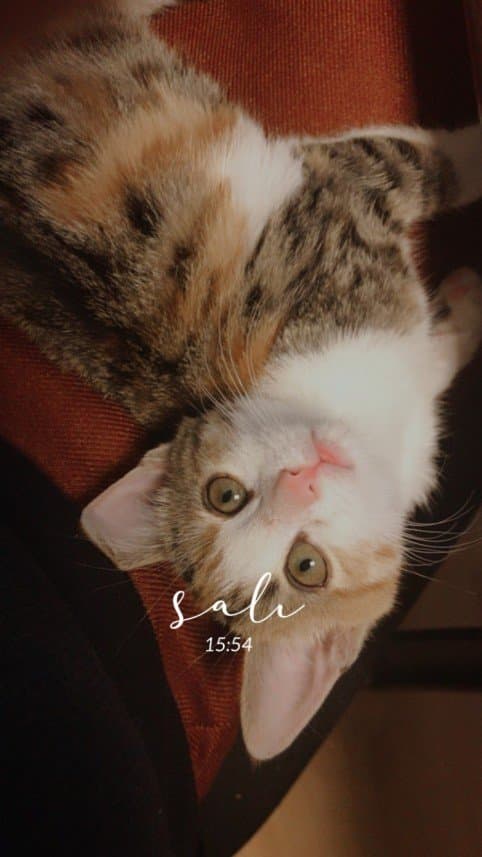 Burcu D. — çalışma 3