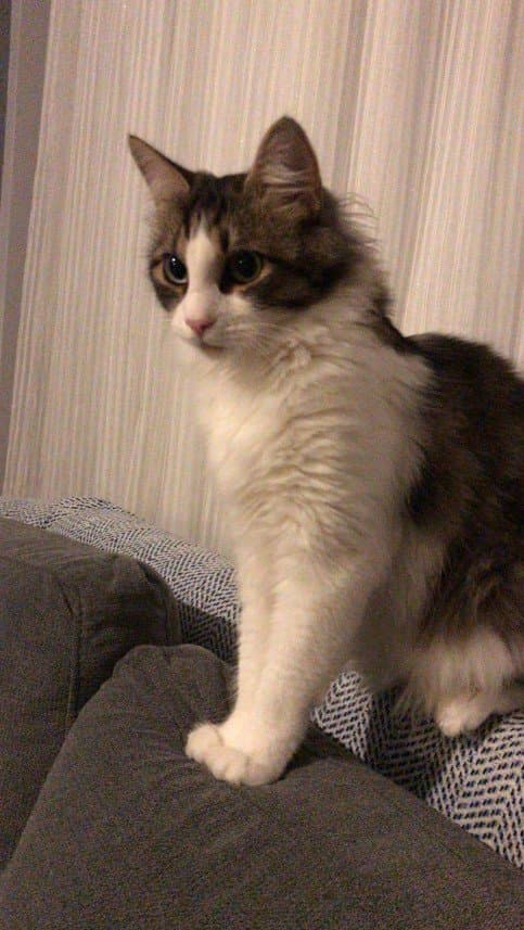 Burcu D. — çalışma 7