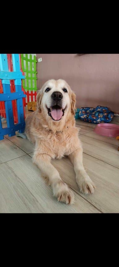 Burcu D. — çalışma 2