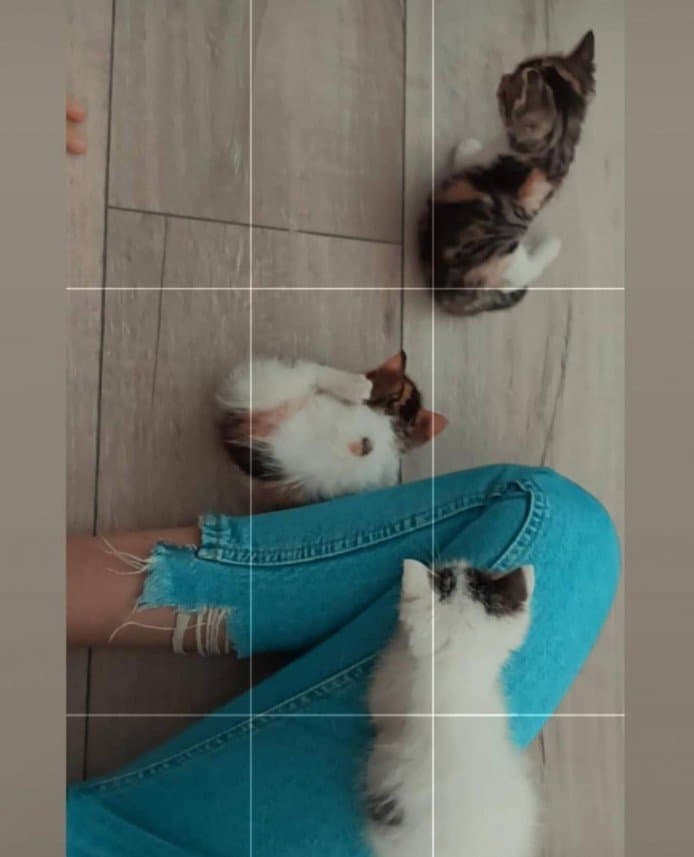 Büşra B. — çalışma 1