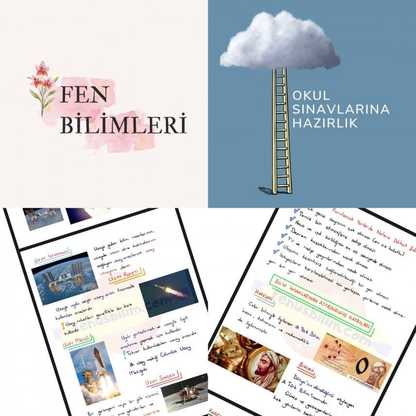 Büşra B. — çalışma 4