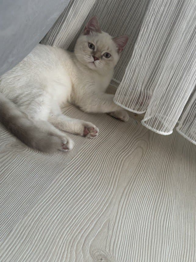 Büşra Y. — çalışma 5
