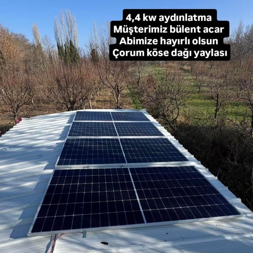 Can B. — çalışma 3