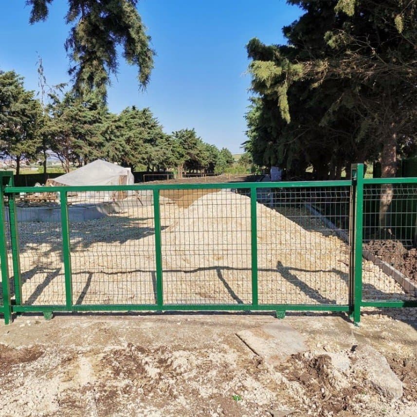 Caner H. — çalışma 5