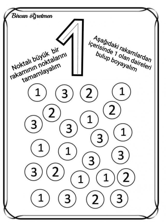 Cansu B. — çalışma 3