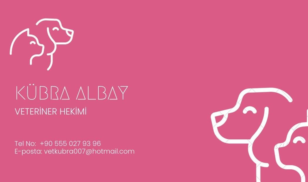 Cem K. — çalışma 2