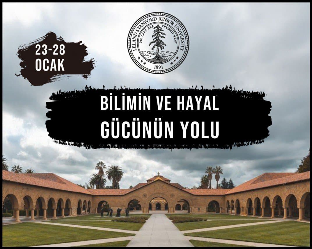 Cengizhan O. — çalışma 4