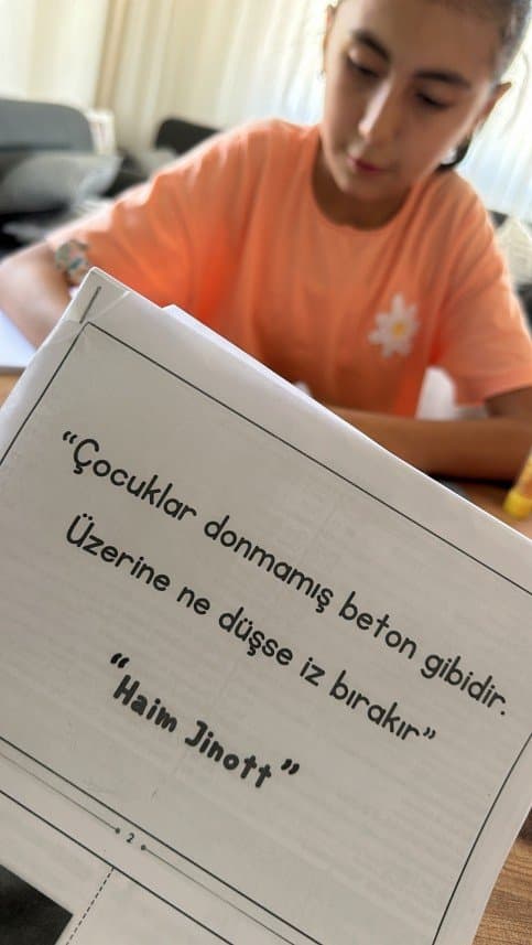 Ceyda Ö. — çalışma 1
