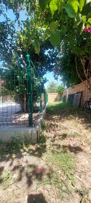 Cihangir E. — çalışma 3