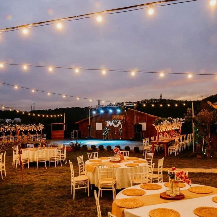 Çimen E. — çalışma 4