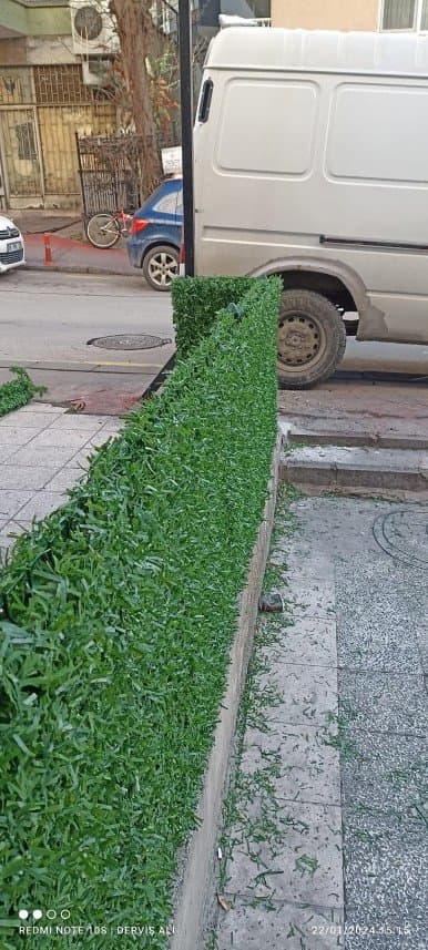 Coskun D. — çalışma 2