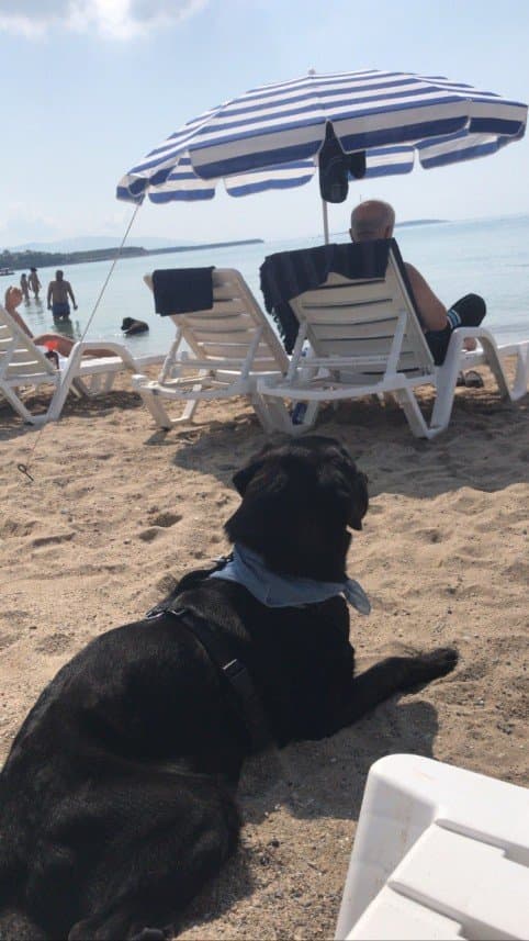 Deniz A. — çalışma 2