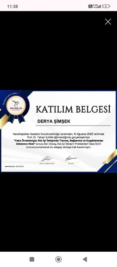 Derya Ş. — çalışma 2