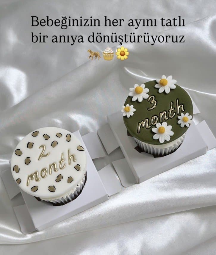 Dilan A. — çalışma 5