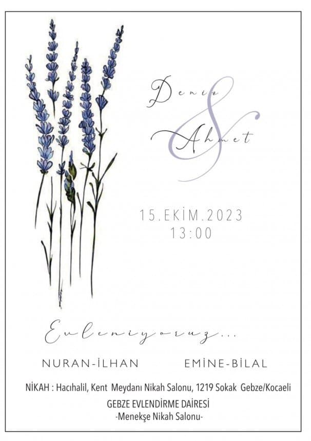 Dilara K. — çalışma 1