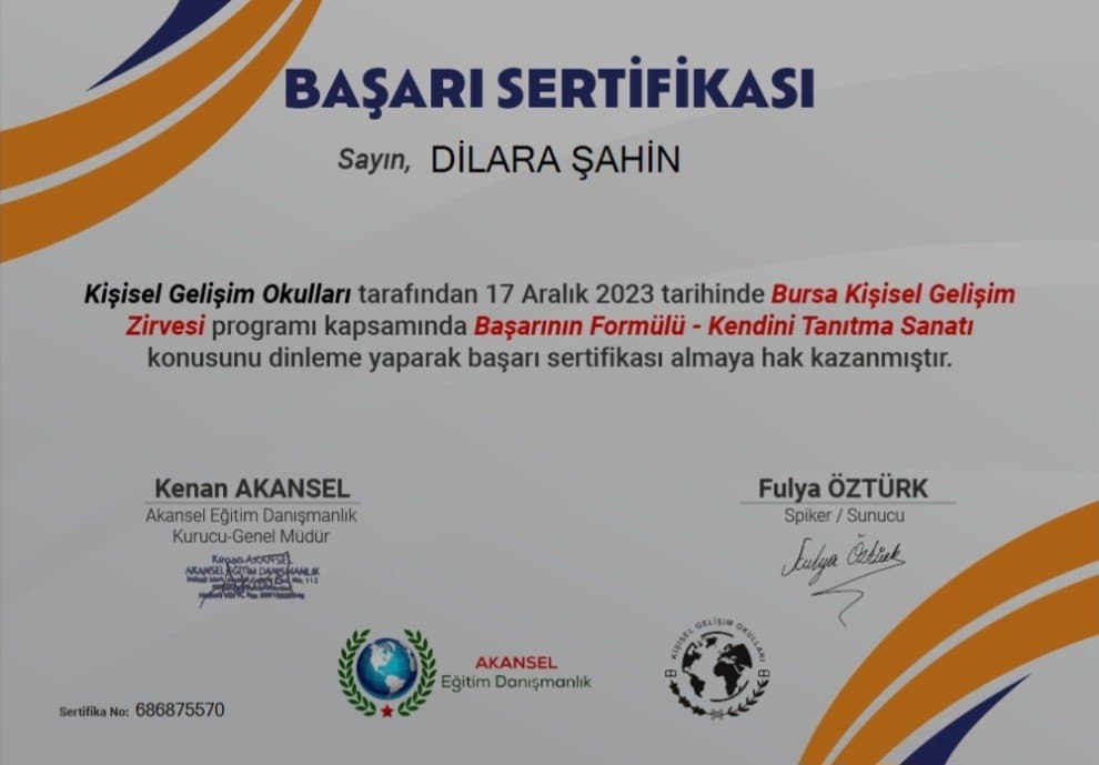 Dilara Ş. — çalışma 1