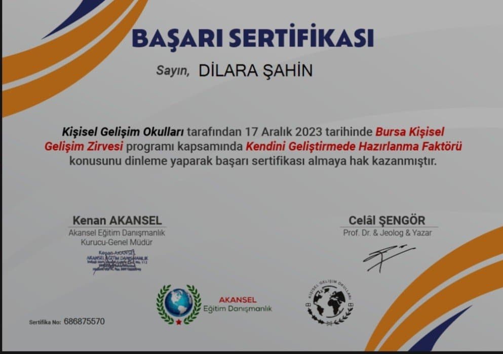 Dilara Ş. — çalışma 2
