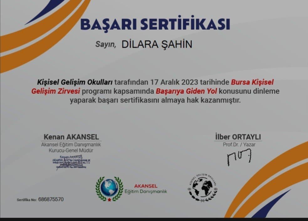 Dilara Ş. — çalışma 3