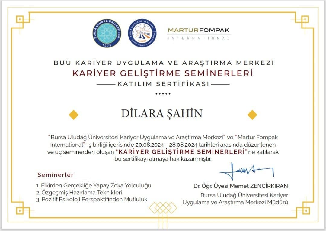 Dilara Ş. — çalışma 4