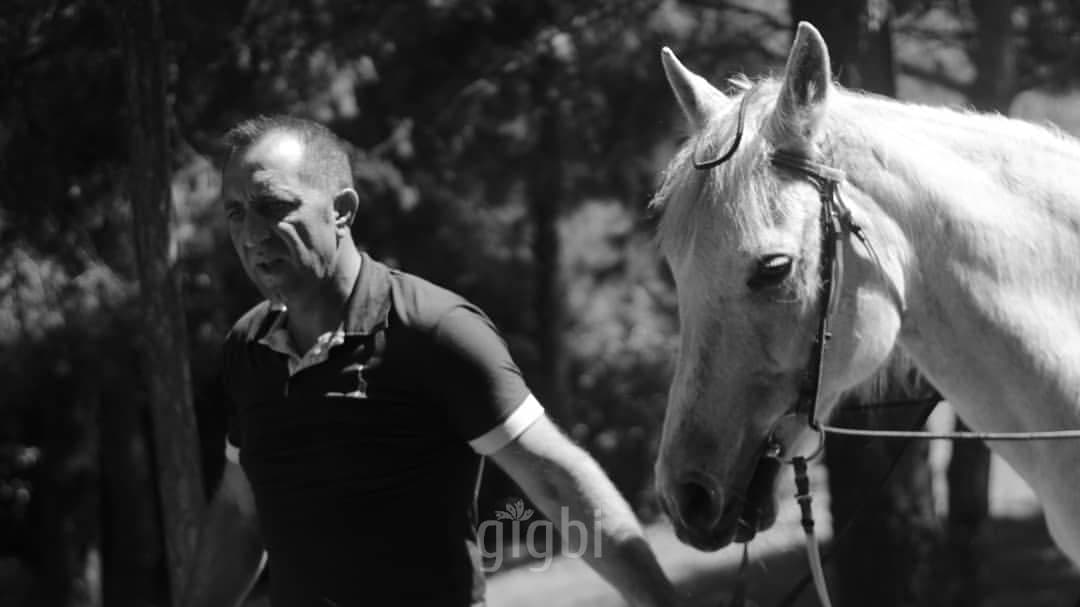 Dilaver F. — çalışma 1