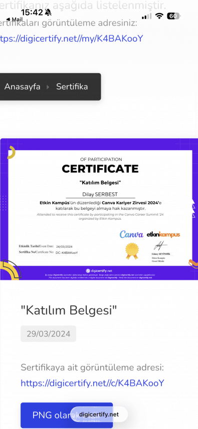 Dilay S. — çalışma 1