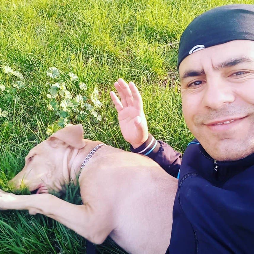 Köpek E. — çalışma 2