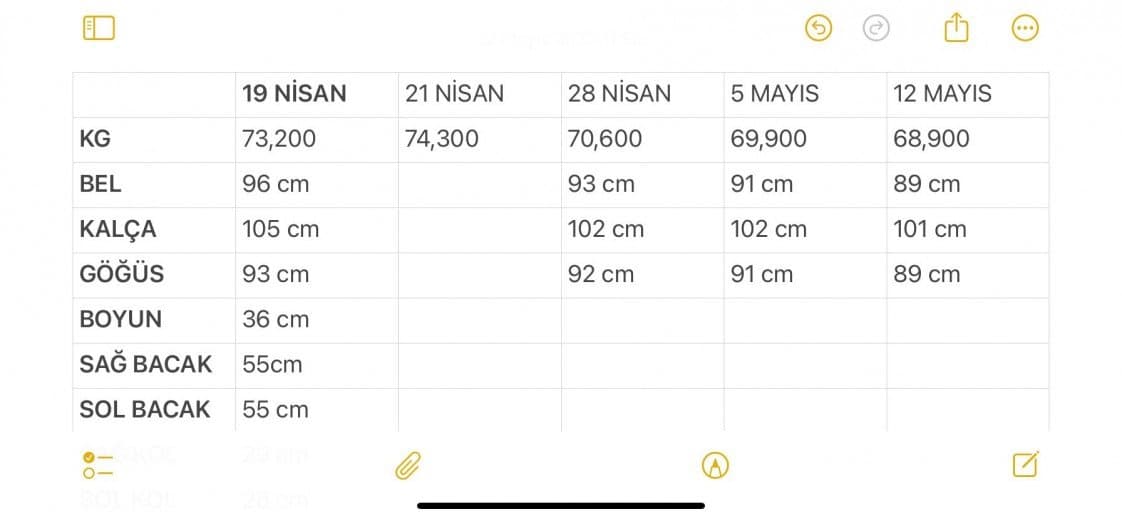 Uzman M. — çalışma 3