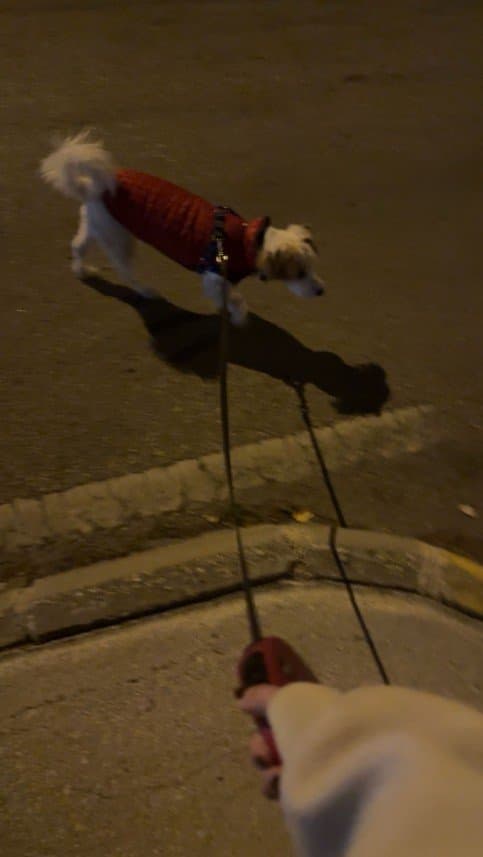 Doğa G. — çalışma 3