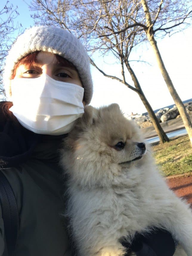 Dogwalker — çalışma 2