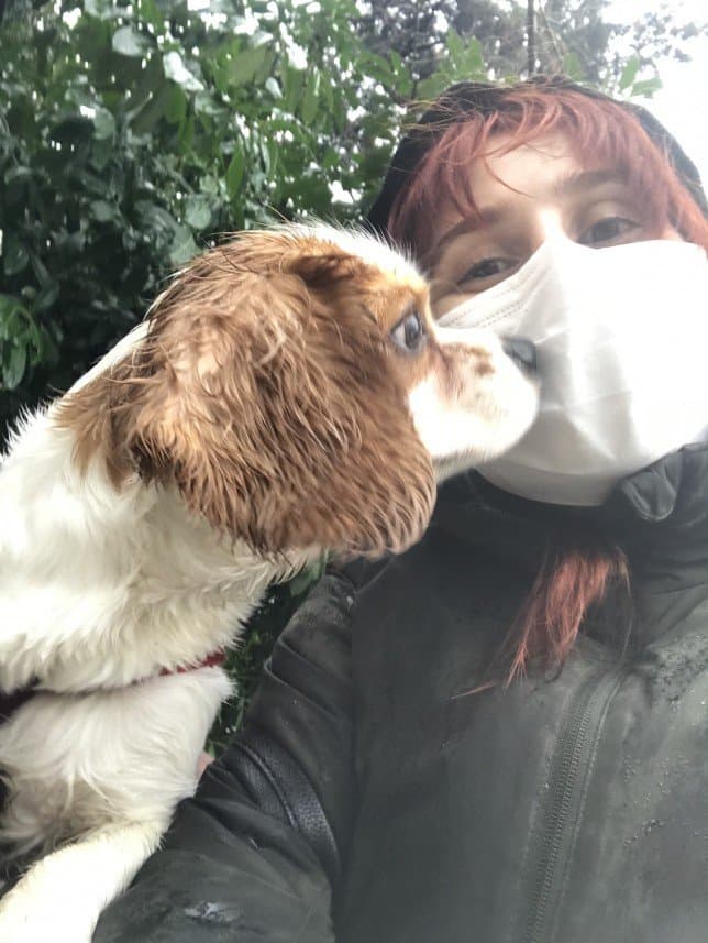 Dogwalker — çalışma 3