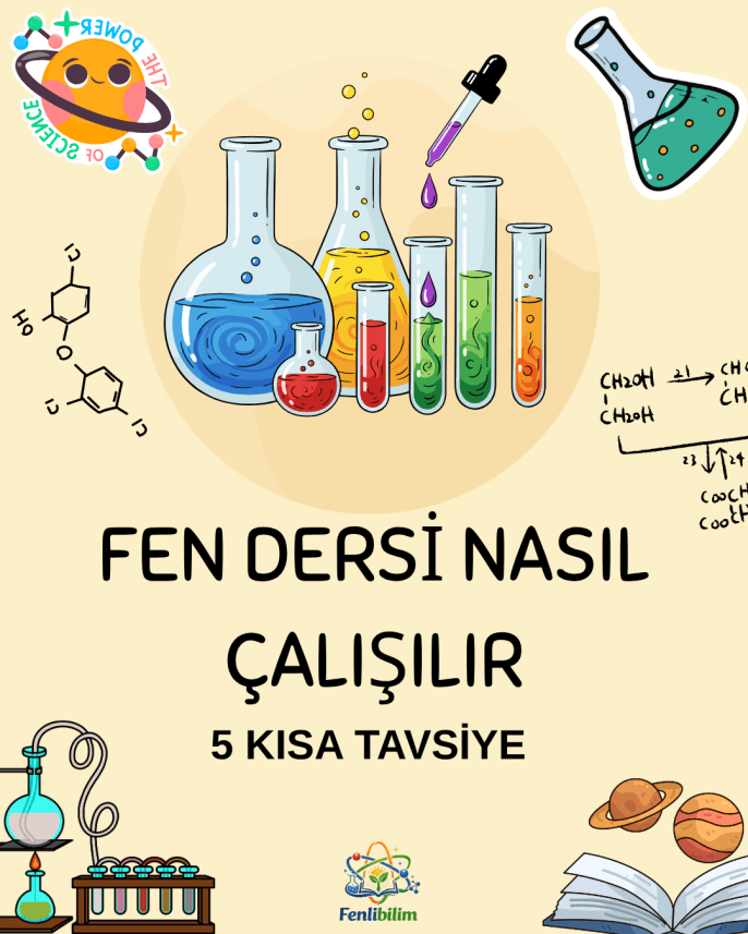 Dudu A. — çalışma 1