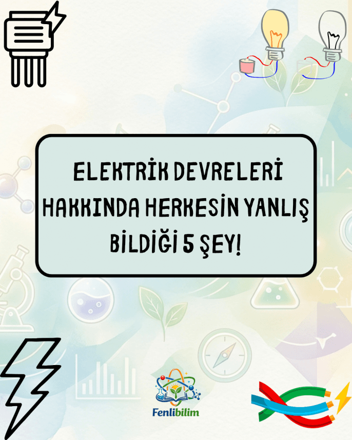 Dudu A. — çalışma 3