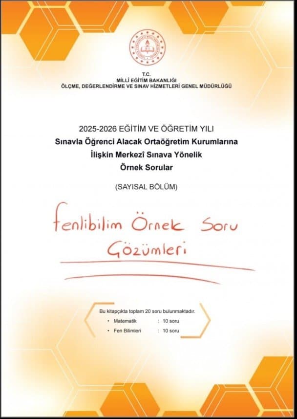 Dudu A. — çalışma 6
