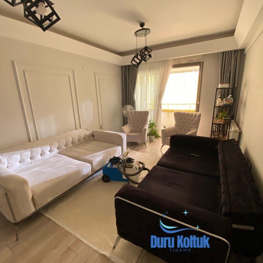 Duru Y. — çalışma 2