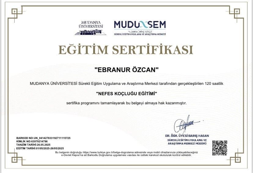 Ebranur Ö. — çalışma 1