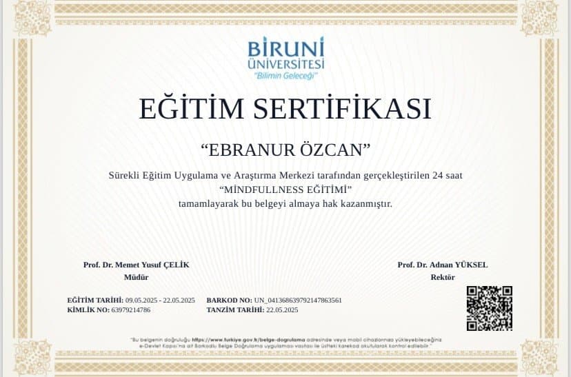 Ebranur Ö. — çalışma 4