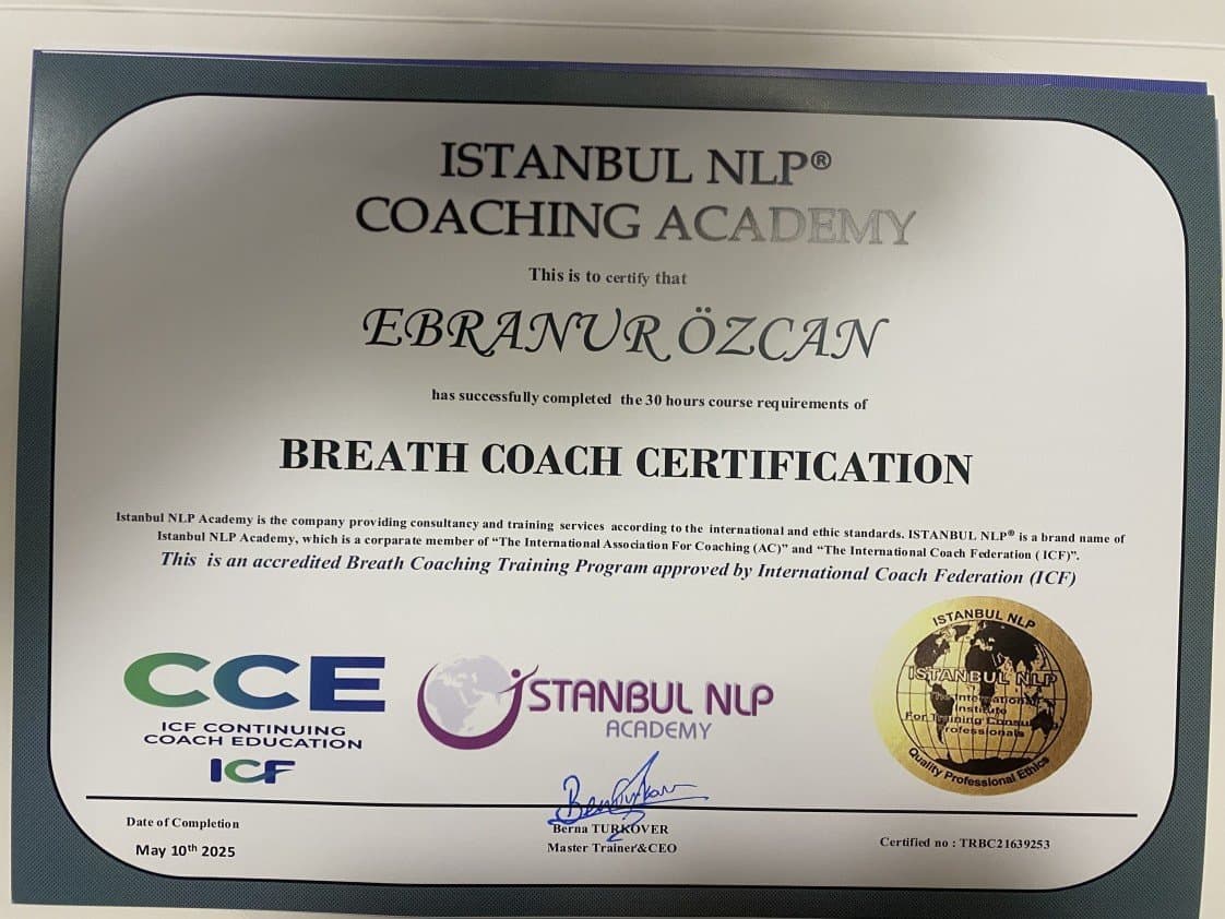 Ebranur Ö. — çalışma 8
