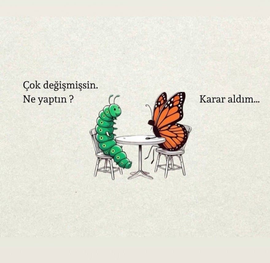 Ebru K. — çalışma 1