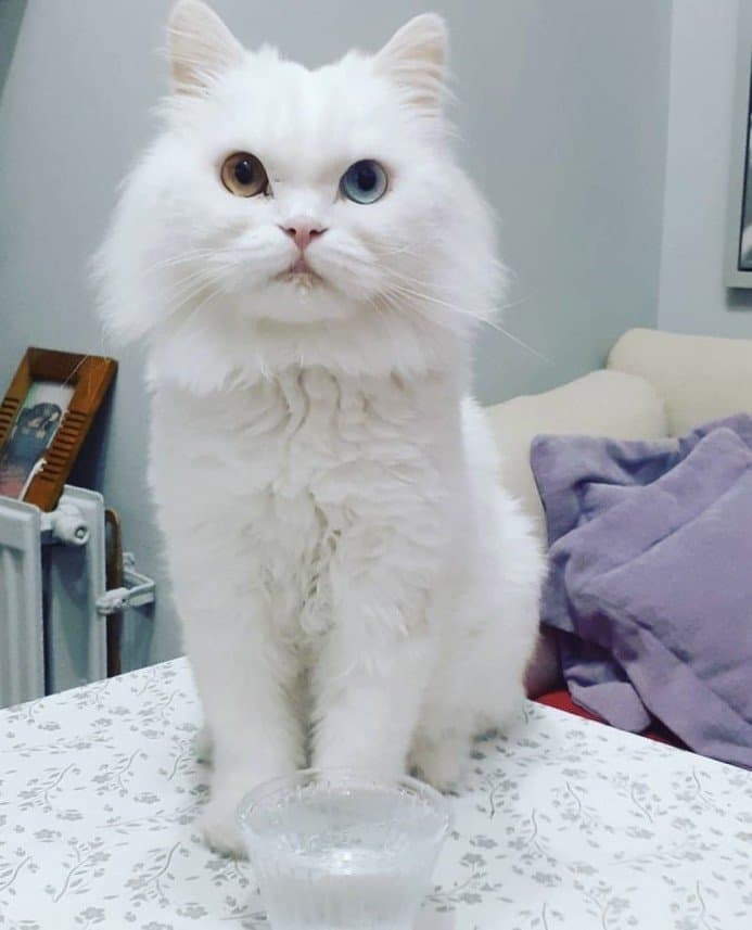 Ece D. — çalışma 7