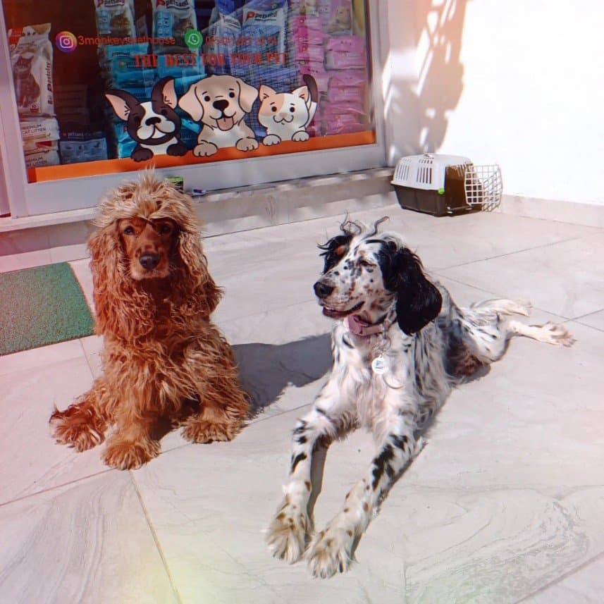 Ecem D. — çalışma 6