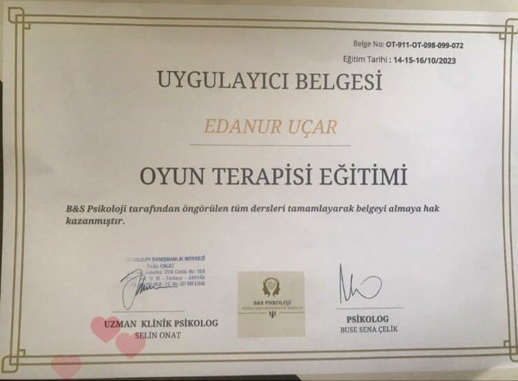 Edanur U. — çalışma 2