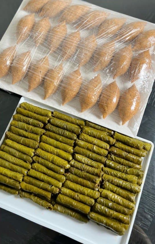 Efsa T. — çalışma 3