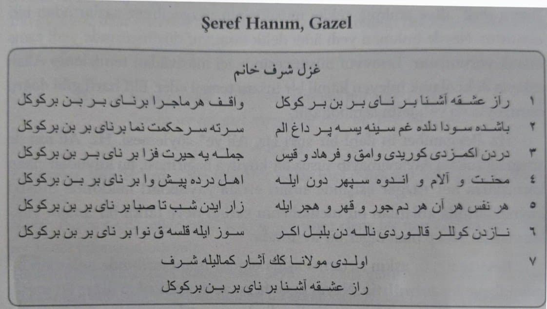 Elanur Ö. — çalışma 3